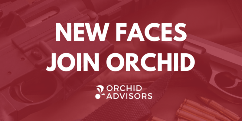 Orchid New Faces