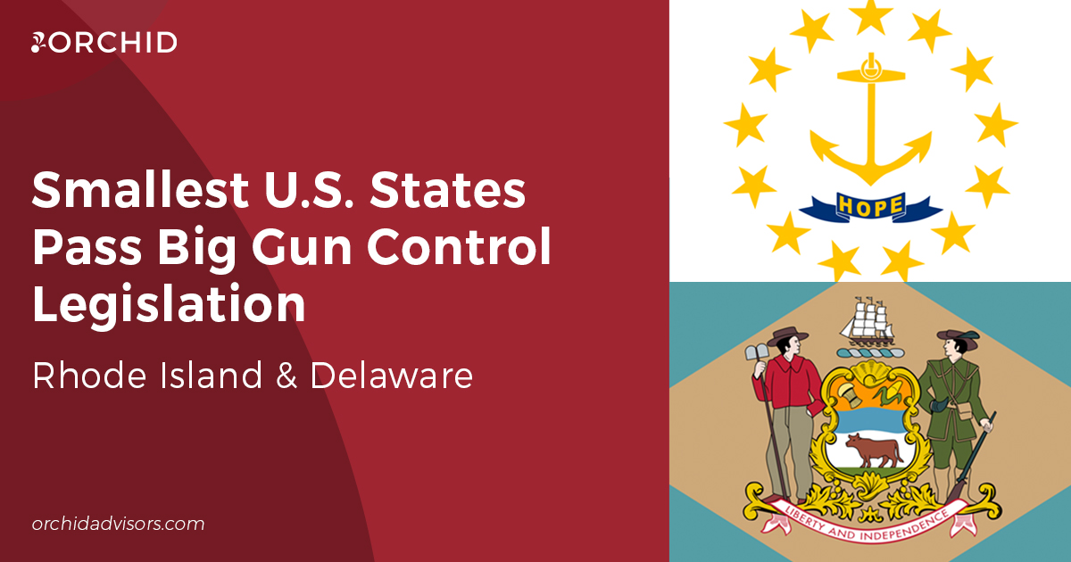 Smallest U.S. States Pass Big Gun Control Legislation