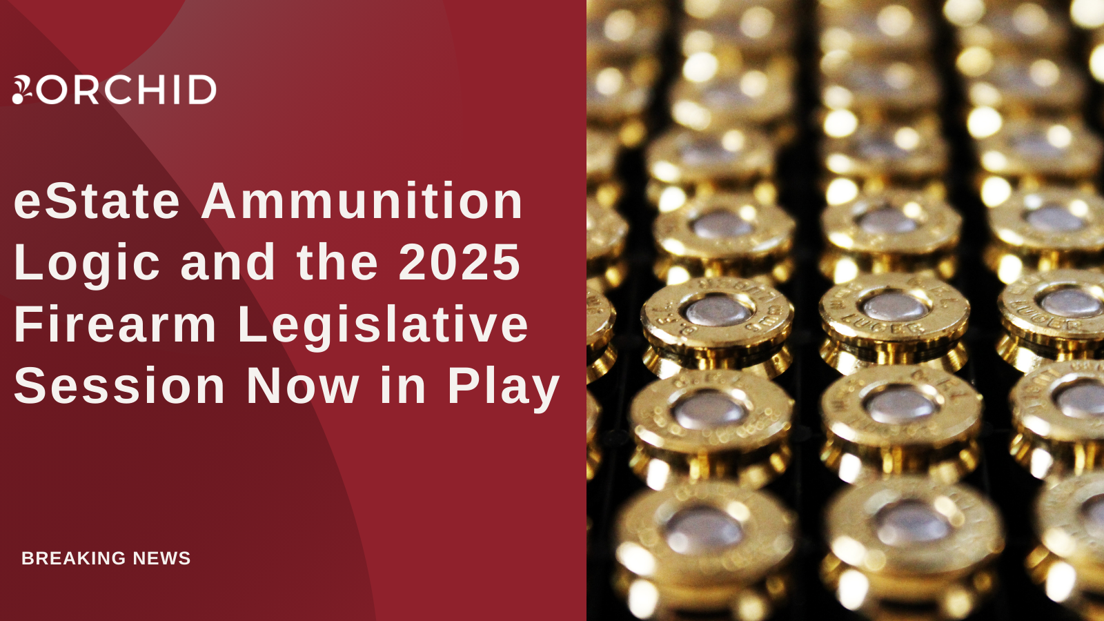 eState Ammunition Logic and the 2025 Firearm Legislative Session Now in Play