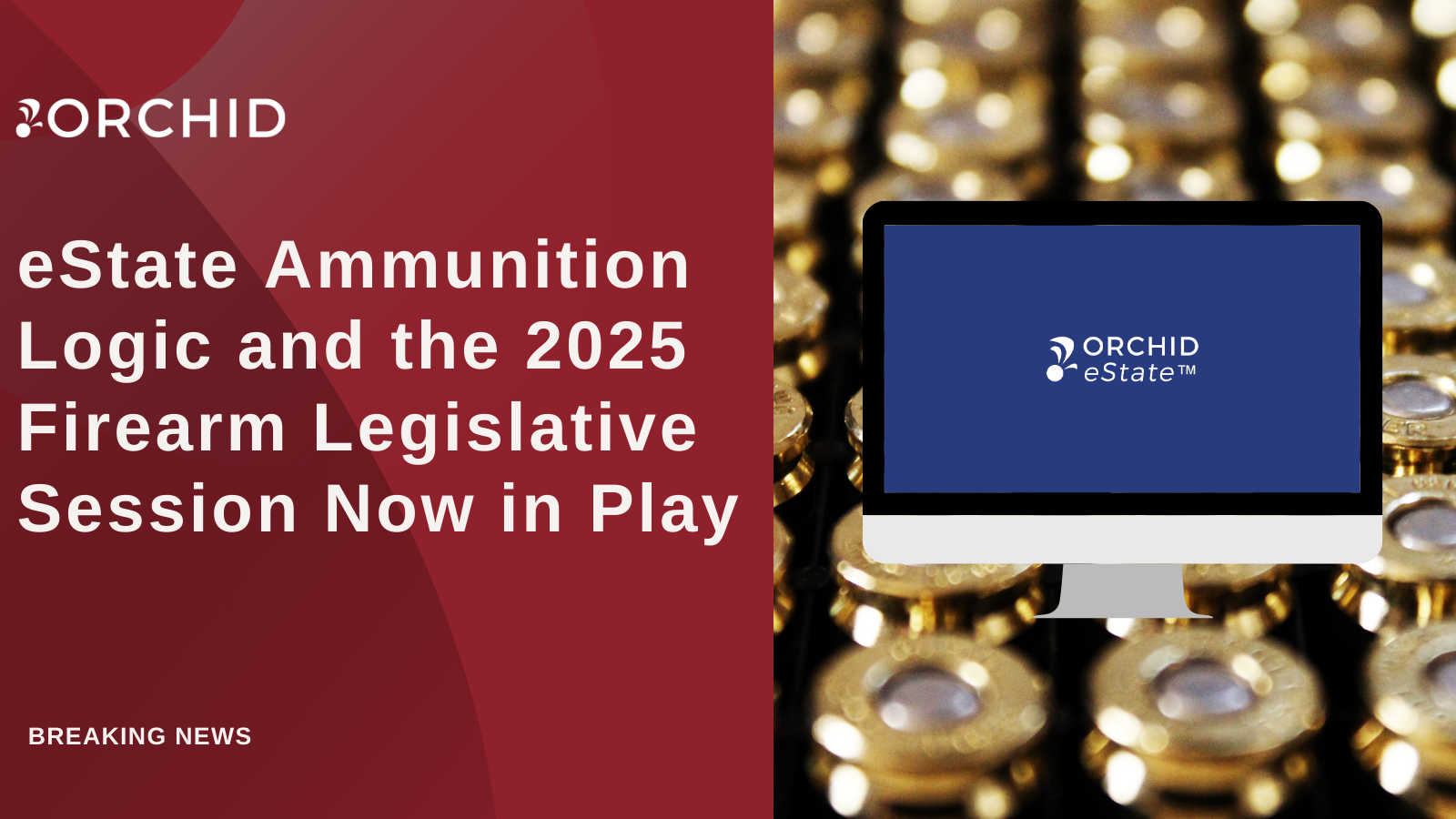 eState Ammunition Logic and the 2025 Firearm Legislative Session Now in Play